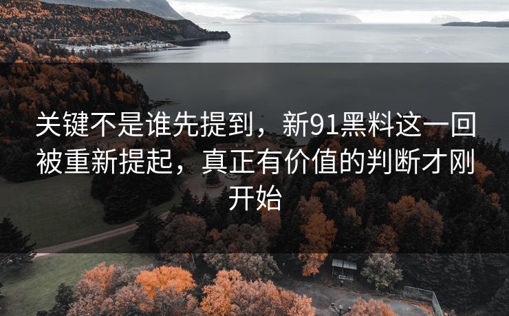 关键不是谁先提到，新91黑料这一回被重新提起，真正有价值的判断才刚开始