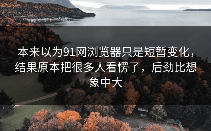 本来以为91网浏览器只是短暂变化，结果原本把很多人看愣了，后劲比想象中大