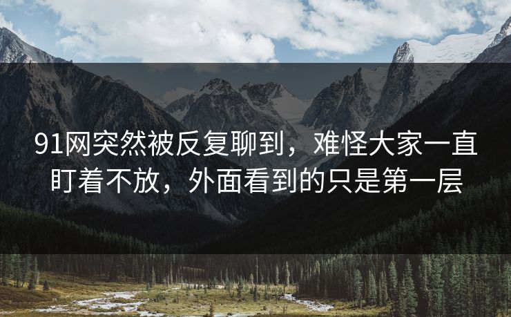 91网突然被反复聊到，难怪大家一直盯着不放，外面看到的只是第一层